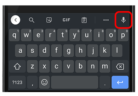 Enter using voice input